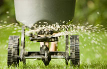 fertilizer company omaha, fertilize lawn